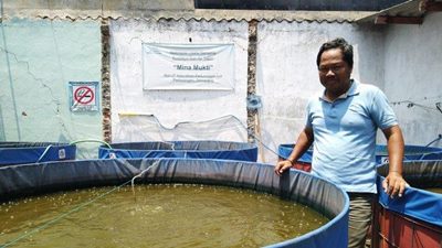 Budidaya Ikan Air Tawar Ala Eko Riyanto, Hilangkan Bau Amis Lele dengan Probiotik Herbal