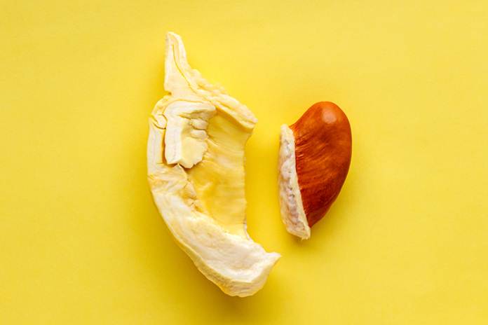 Langkah Mudah Membuat Tepung Biji Durian