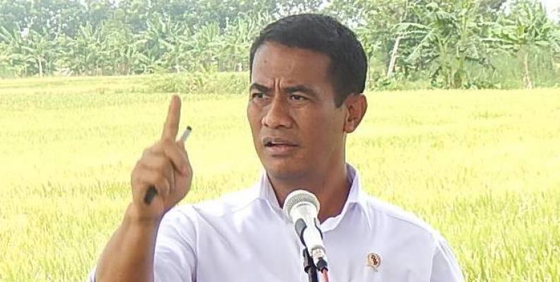 Mentan minta kelapa pandan Nunukan dikemas apik